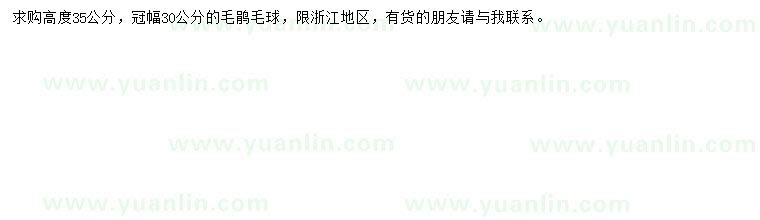 求購高35公分毛鵑球