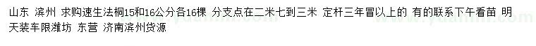 求購15、16公分速生法桐