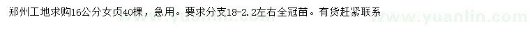 求購(gòu)16公分女貞