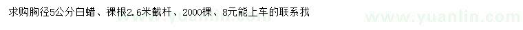 求購胸徑5公分白蠟