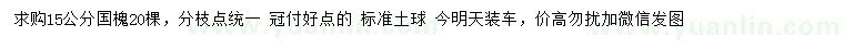 求購15公分國槐