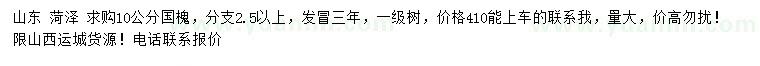 求購10公分國槐