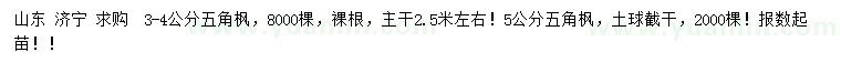 求購3-4、5公分五角楓