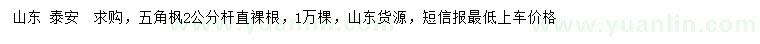求購2公分五角楓
