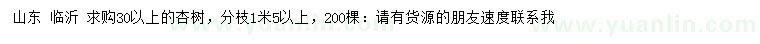 求購30公分以上杏樹