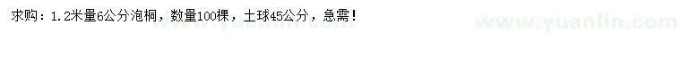 求購1.2米量6公分泡桐