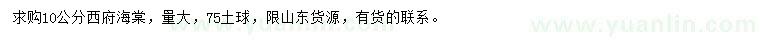 求購(gòu)10公分西府海棠