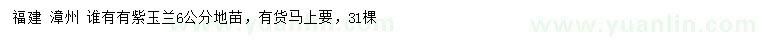 求購(gòu)6公分紫玉蘭