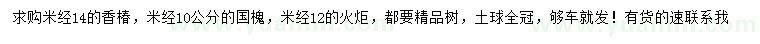求購香椿、國槐、火炬