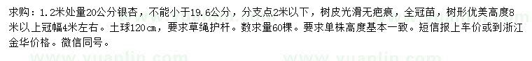 求購1.2米處量20公分銀杏