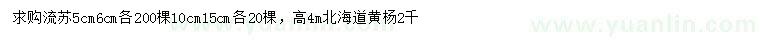 求購5、6、10、15公分流蘇、高4米黃楊