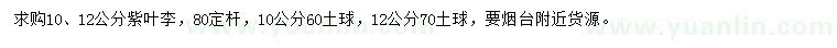 求購(gòu)10、12公分紫葉李