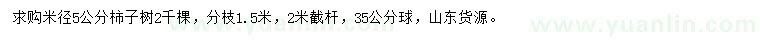 求購米徑5公分柿子樹