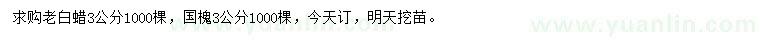 求購3公分老白蠟、國槐