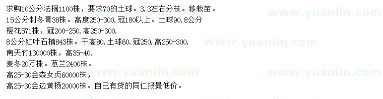 求購法桐、刺冬青、櫻花等