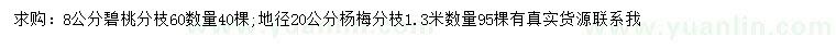 求購8公分碧桃、地徑20公分楊梅