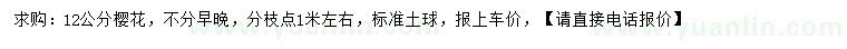 求購12公分櫻花