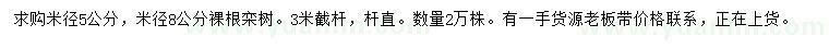 求購米徑5、8公分欒樹