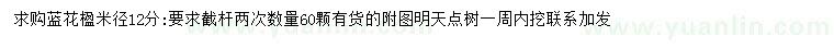 求購(gòu)米徑12公分藍(lán)花楹