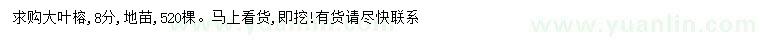 求購8公分大葉榕