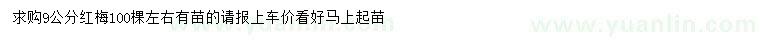 求購9公分紅梅