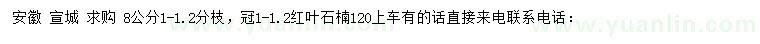 求購8公分紅葉石楠