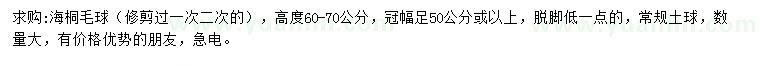 求購高60-70公分海桐毛球