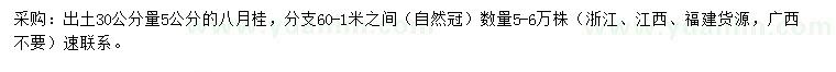 求購30公分量5公分八月桂