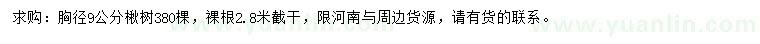 求購(gòu)胸徑9公分楸樹(shù)