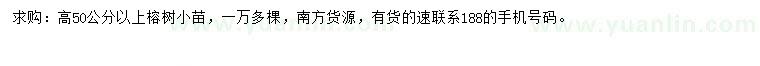 求購(gòu)高50公分以上榕樹小苗