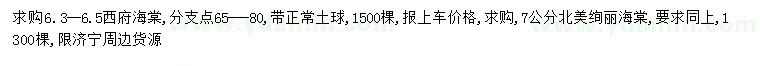 求購(gòu)6.3-6.5公分西府海棠、7公分北美絢麗海棠