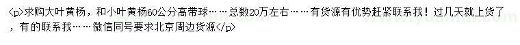 求購高60公分大葉黃楊、小葉黃楊