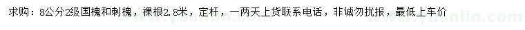 求購8公分國槐、刺槐