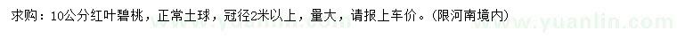 求購10公分紅葉碧桃