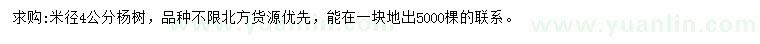 求購米徑4公分楊樹