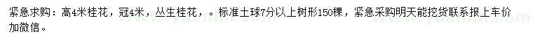 求購(gòu)高4米桂花