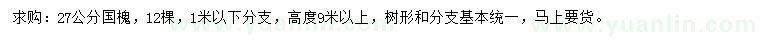 求購(gòu)27公分國(guó)槐