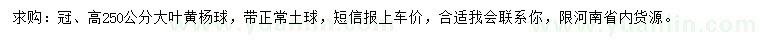 求購冠2.5米大葉黃楊球