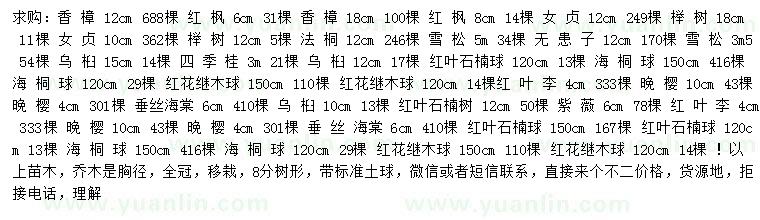 求購香樟、紅楓、女貞等