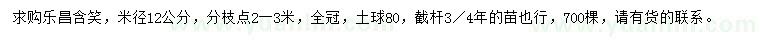 求購米徑12公分樂昌含笑
