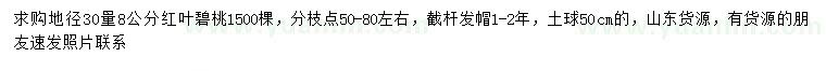 求購地徑30量8公分紅葉碧桃