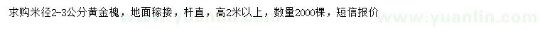 求購米徑2-3公分黃金槐