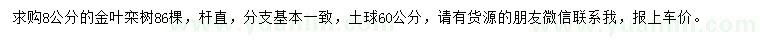求購8公分金葉欒樹