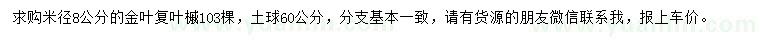 求購米徑8公分金葉復(fù)葉槭