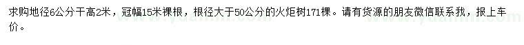 求購地徑6公分火炬樹