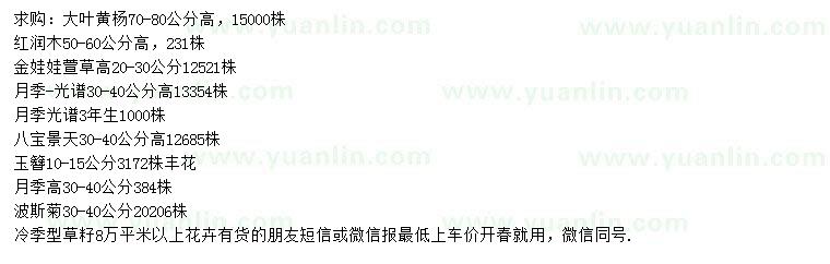 求購(gòu)大葉黃楊、紅瑞木、金娃娃萱草等