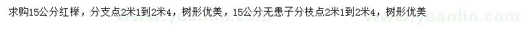 求購(gòu)15公分紅櫸、無(wú)患子