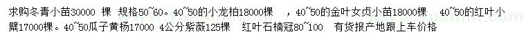 求購冬青小苗、小龍柏、金葉女貞小苗等
