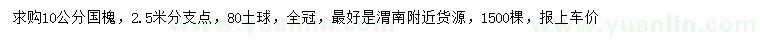 求購10公分國槐