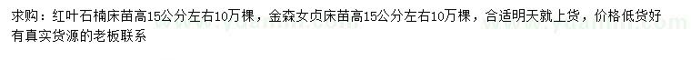 求購高15公分左右紅葉石楠床苗、金森女貞床苗
